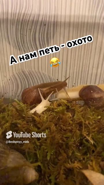 Юморная пародия