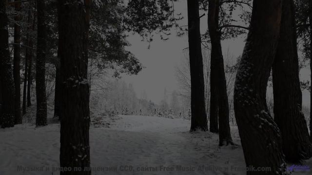 Мелодия ведёт выше облаков без единого шага - Insensate -- Strobotone -- Flashback Forward