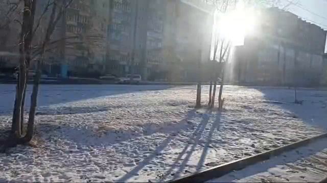 Покатушки на Трамваях. СТРИМ