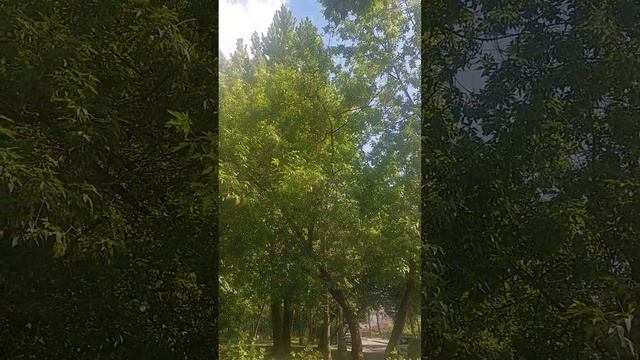 красота- страшная сила!