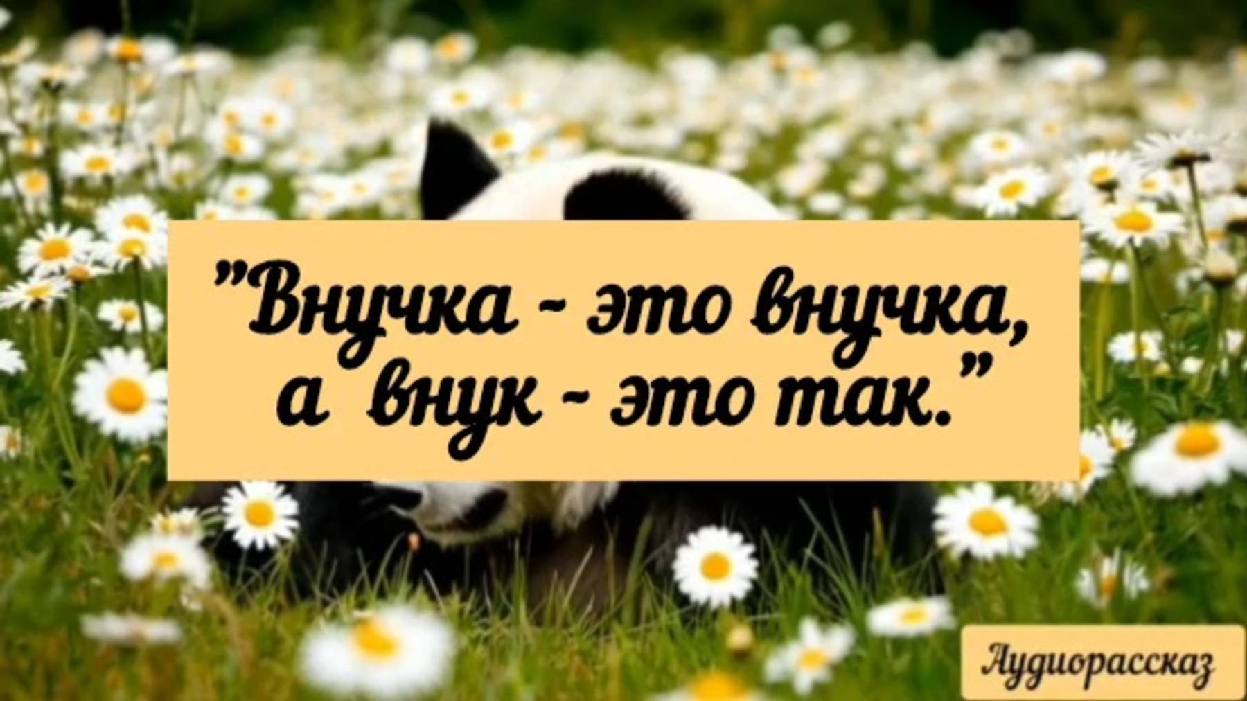 Бабушки иногда растворяются в некоторых из своих внуков так, что можно только удивляться.