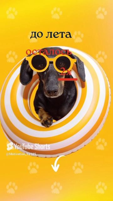 Цитата#190 «Наступит лето» #2025 #лето #цитаты #motivation #shorts