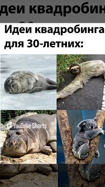 Мем