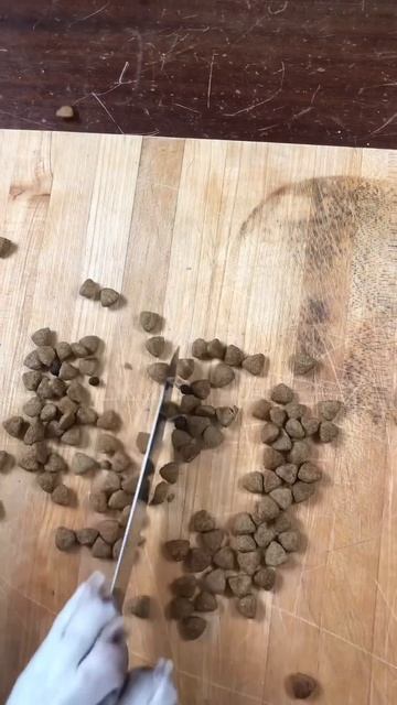 Dog Makes Gourmet Dinner #shorts: Chef Dog Maymo