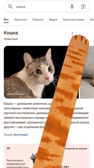 как Гугле сделать кошачьи лапк с ( капибарами)