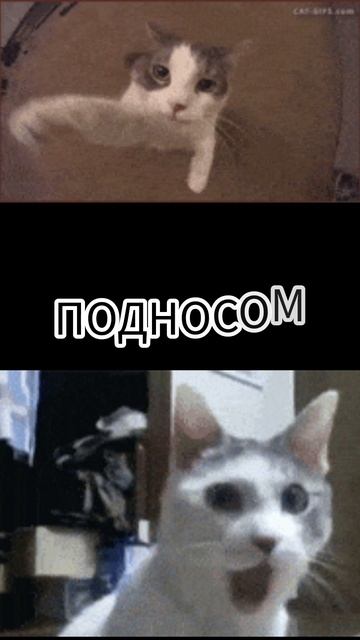 чем ударить под нос?