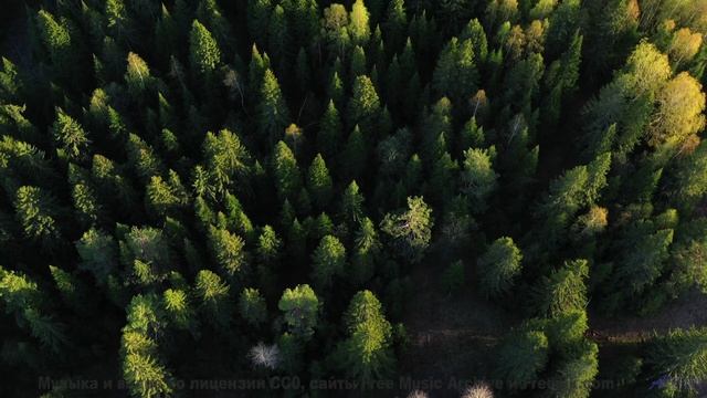Песня, которая звучит громче, когда поёшь её хриплым утром в палатке - I Remember -- Ranch House --