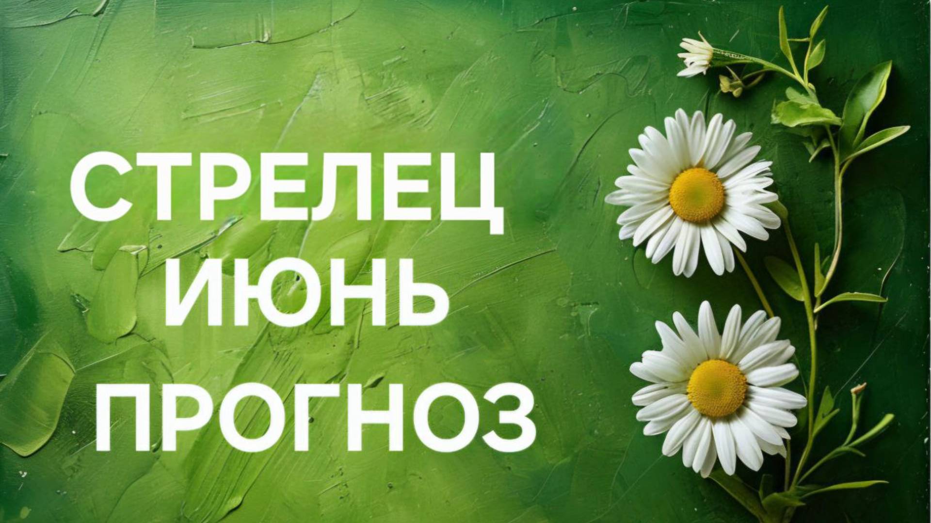 СТРЕЛЕЦ. ТАРО ПРОГНОЗ НА ИЮНЬ