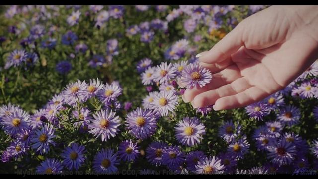 Видео, которое нельзя смотреть без нейроимплантов - или можно - Off White -- Makaih Beats -- Off Whi