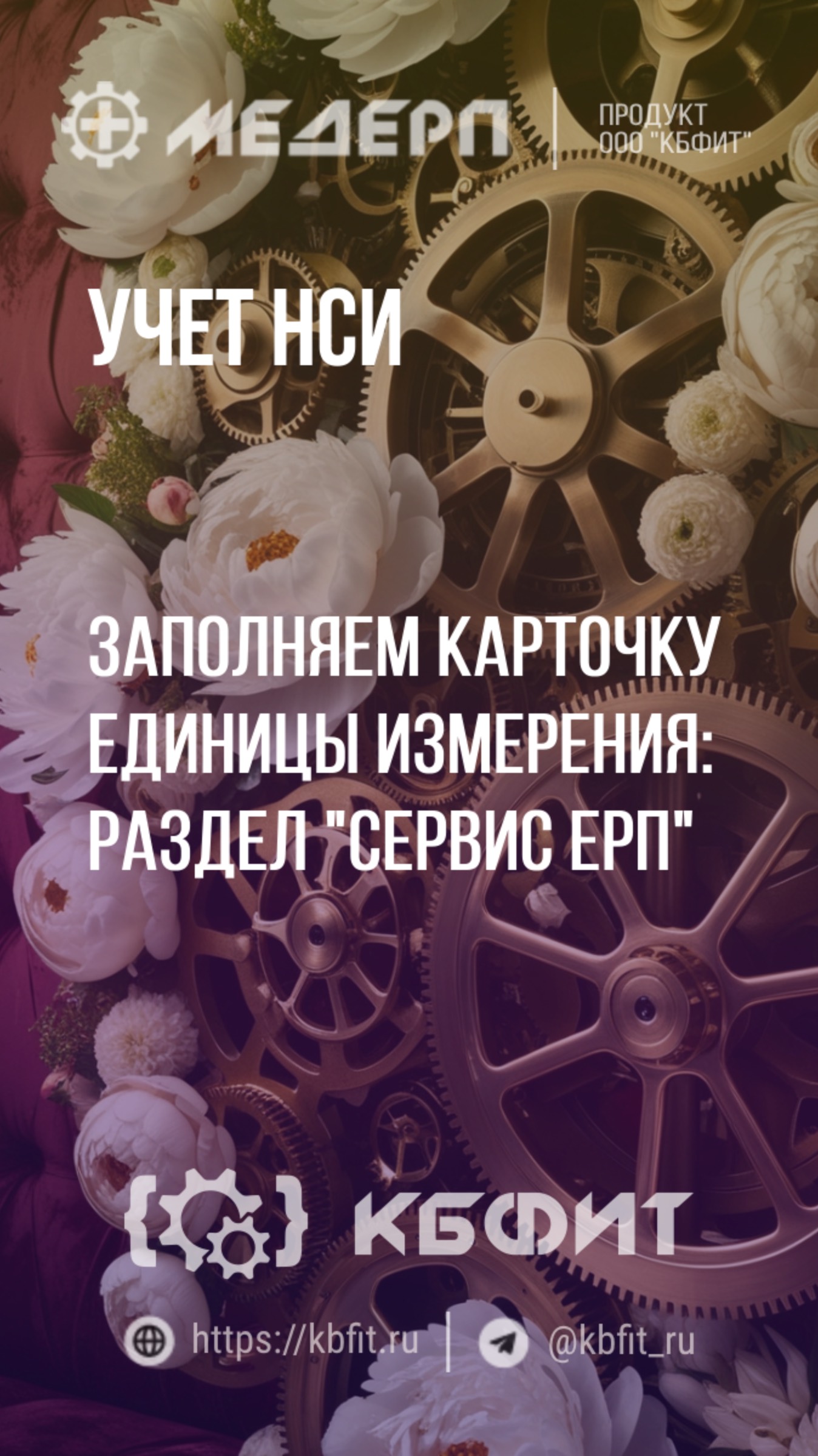 КБФИТ: МЕДЕРП. Учет НСИ: Заполняем карточку единицы измерения: раздел "Сервис ЕРП"