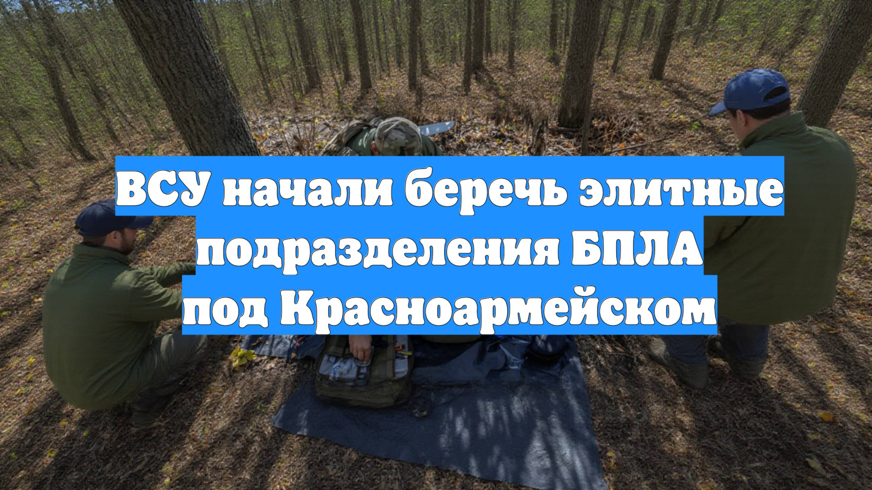 ВСУ начали беречь элитные подразделения БПЛА под Красноармейском