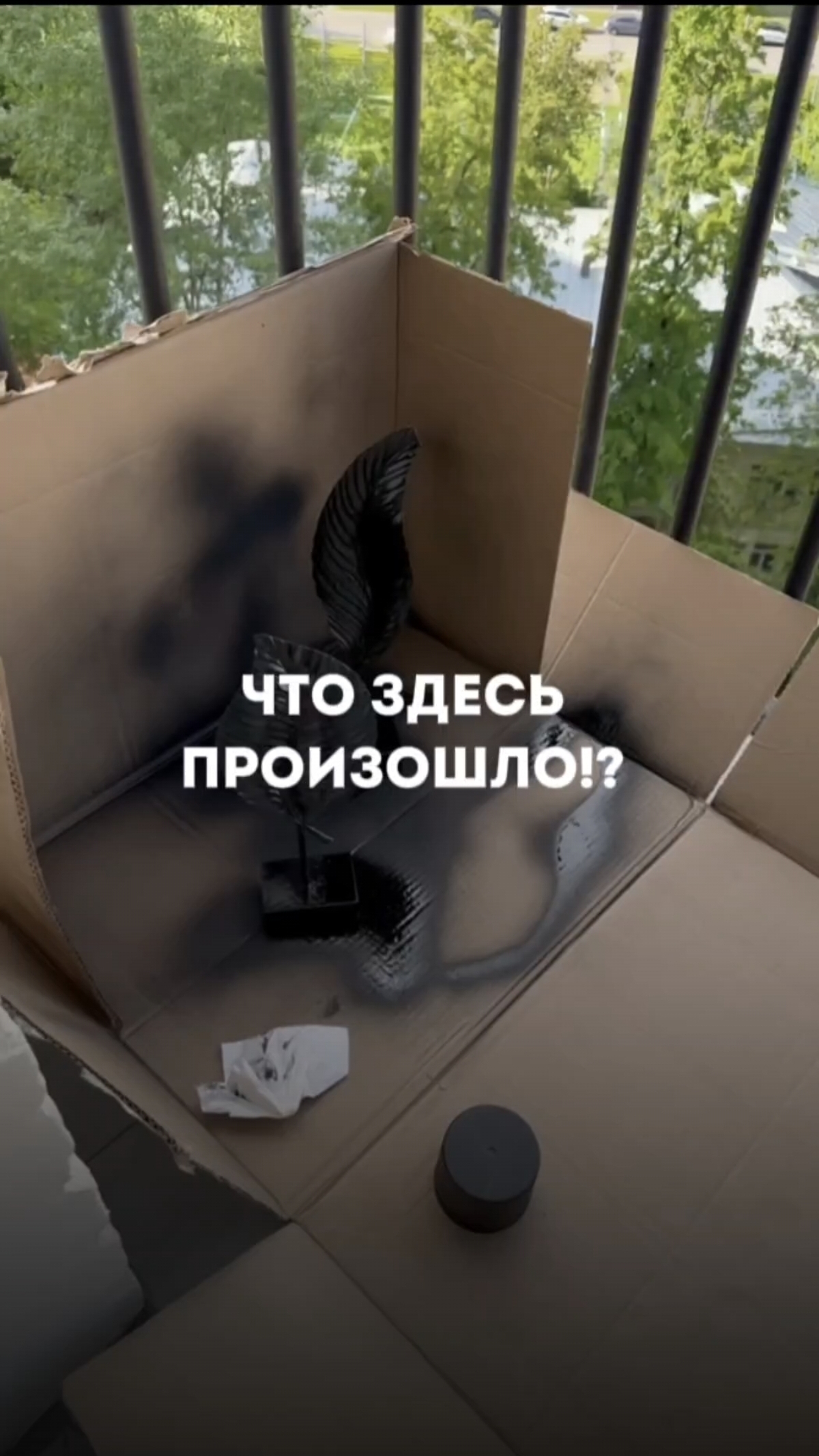 Что здесь произошло?!
