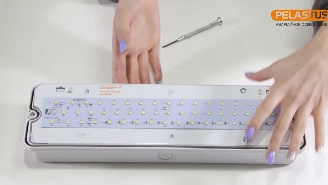 Световой указатель эвакуационных выходов PL EM 3.0