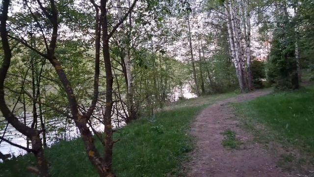 Прогулка с мохнатым)
