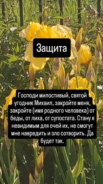 на защиту