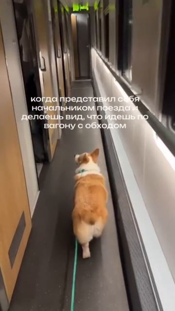 ту ту