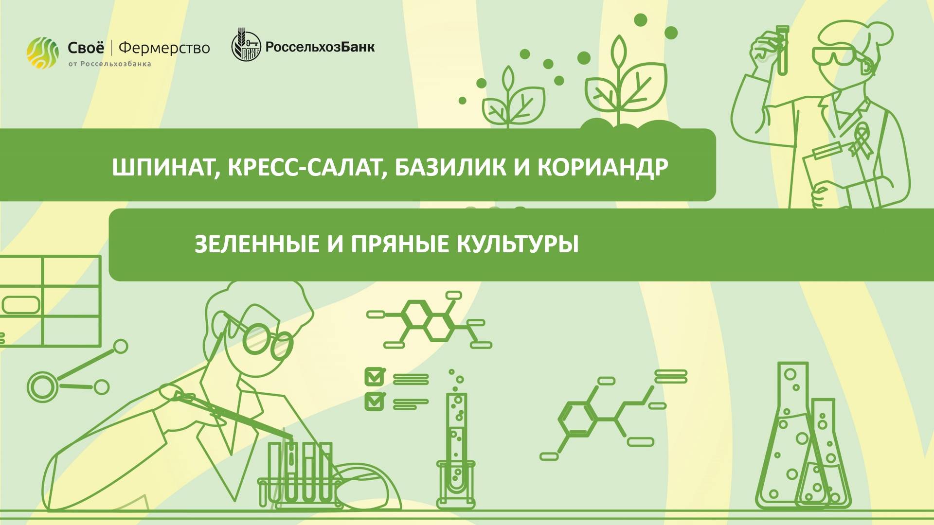 Шпинат, кресс-салат, базилик и кориандр: зеленные и пряные культуры