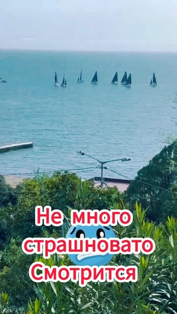 Они что в мазуте что ли ?