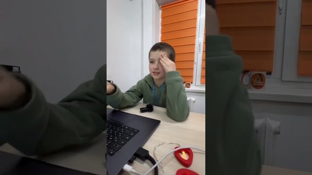Кейс Василя Райского - 7 лет - Scratch 2024