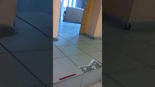 Что делать в дом культуры