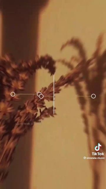 2c89744271148dc20ec7a04733802e8a.mp4