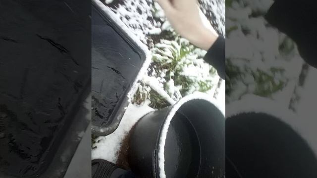 VID_20250529_070442.mp4
