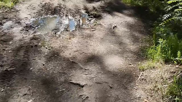 Лесопарк им. Лесоводов России (Екатеринбург)