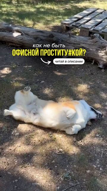 Очень просто: перестать раздвигать свои личные границы за “спасибо”.