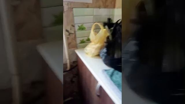 мои покупки