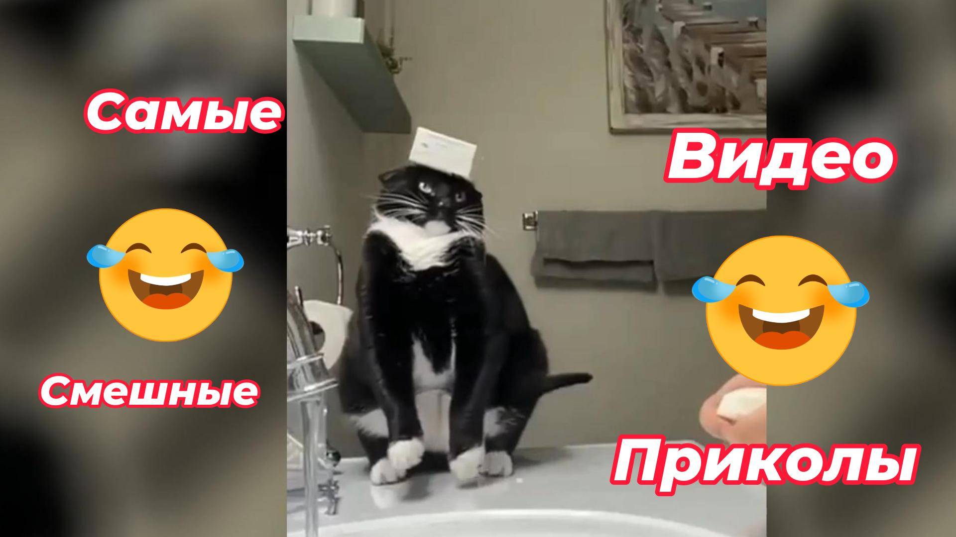 Самые смешные видео приколы/#смешно # приколы #видео #смех #ржака