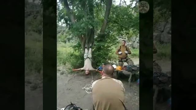 Полевой выход Саламандра-2019.