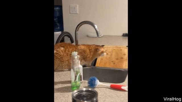 She Instantly Regretted Her Decision