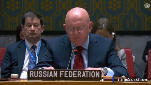 Василий Небензя. Выступление на заседании СБ ООН по Украине 29 мая 2025 года