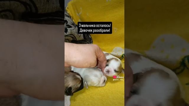 1000027637.mp4