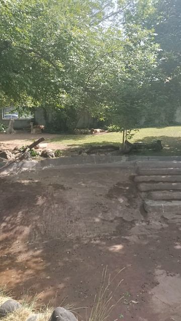 в зоопарке 1 часть