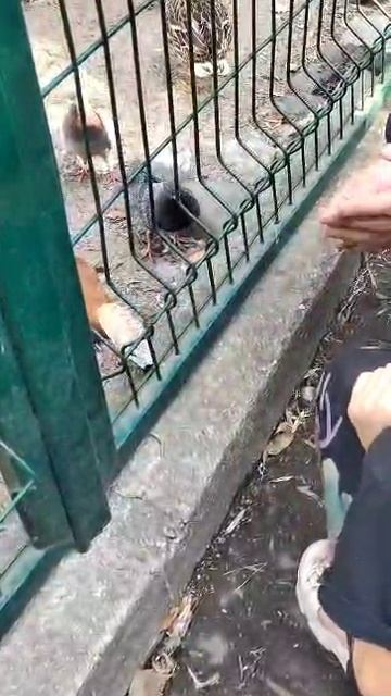 VID-20240819-WA0168