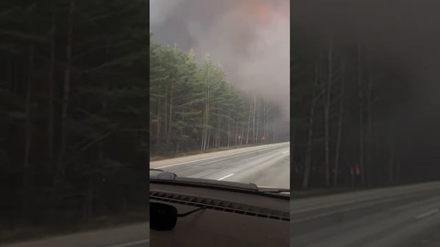 Сгодня читинская обл., дорога на Арахлей