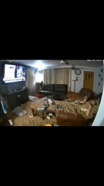 Прикольные видео
