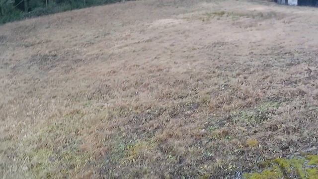 Водопойный канал на велосипеде.