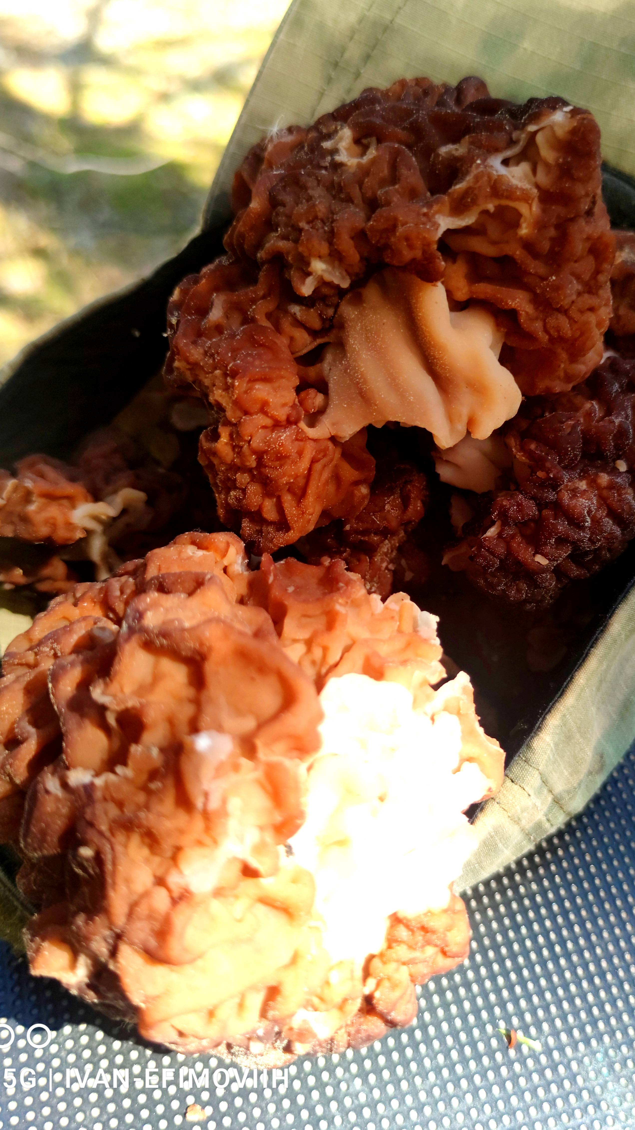 30.05.25г. Как то так.