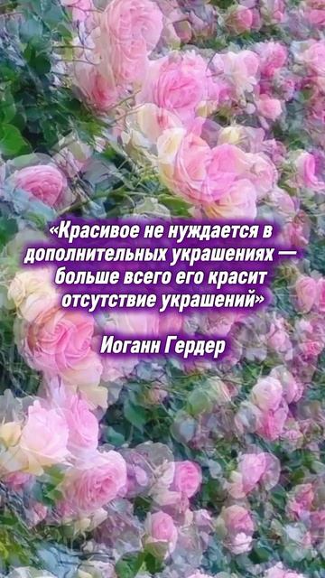 О красоте