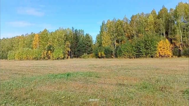 Деревенская окрошка.mp4