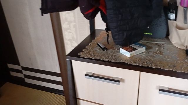 обзор на все мои цветы и кактусы./