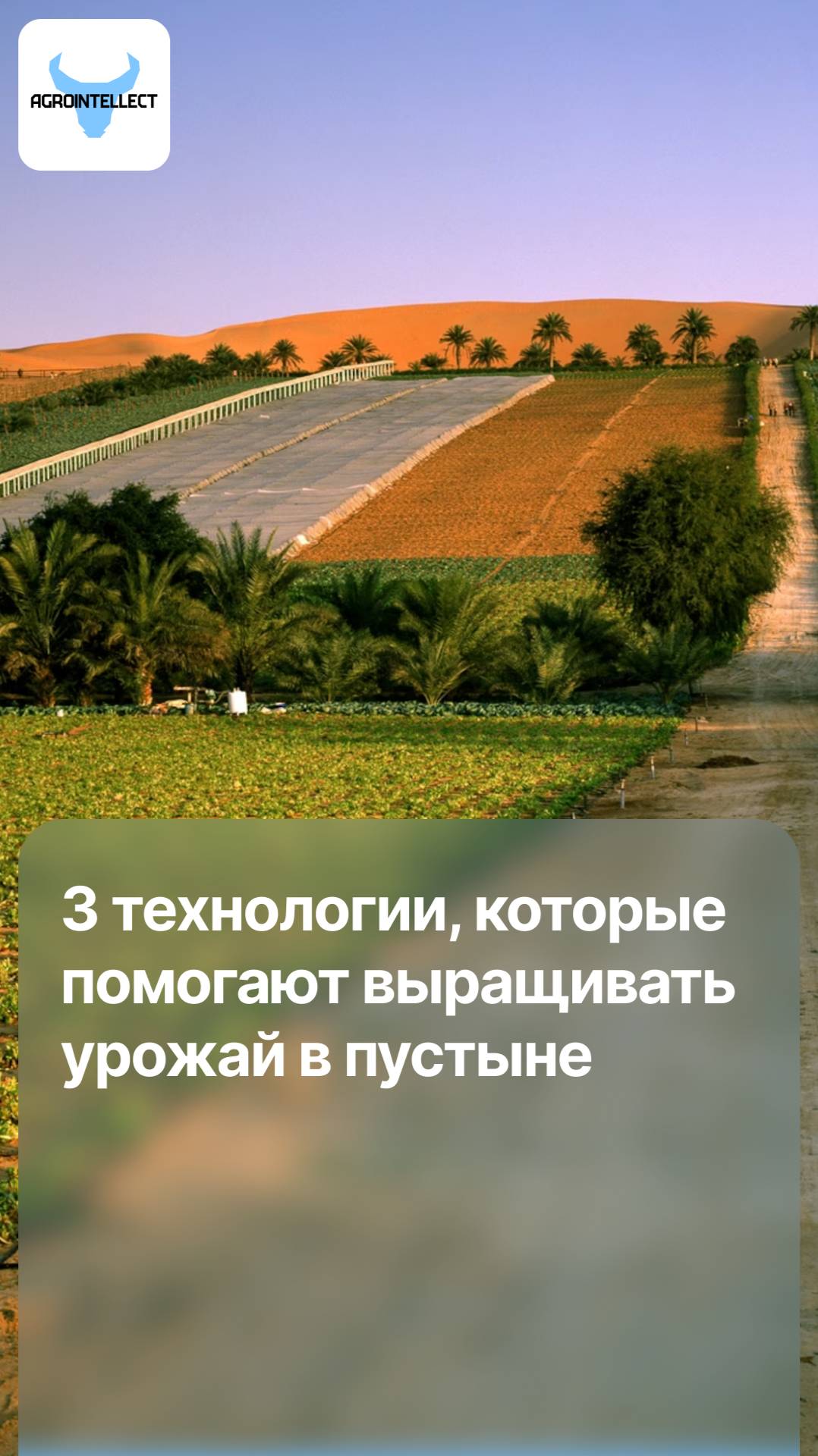 Они делают невозможное: 3 технологии, которые помогают выращивать урожай в пустыне 🌵🌱