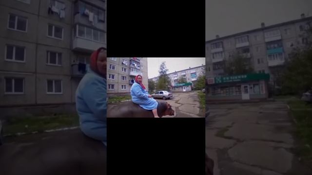 🦛 Пенсионерка завела бегемота