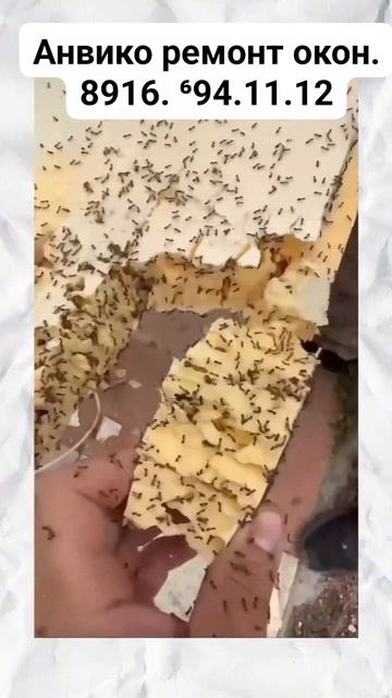 На держите. Пеноплекс не чего не боится.  Ремонт окон. Москва. Подольск. Чехов. Серпухов.