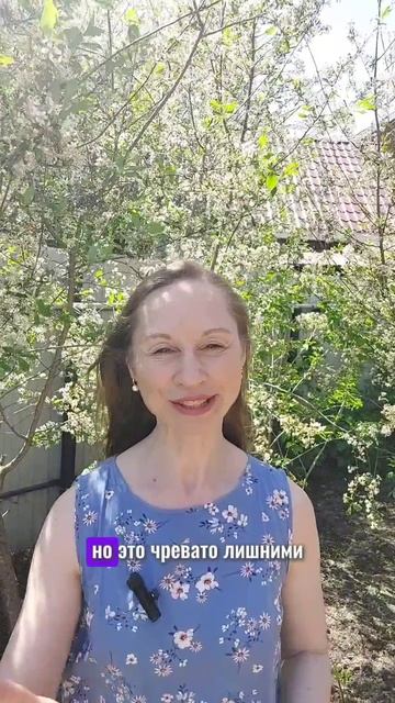 прогноз на 31 мая 2025