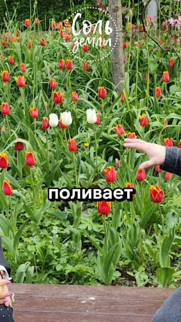 Священник - это забота