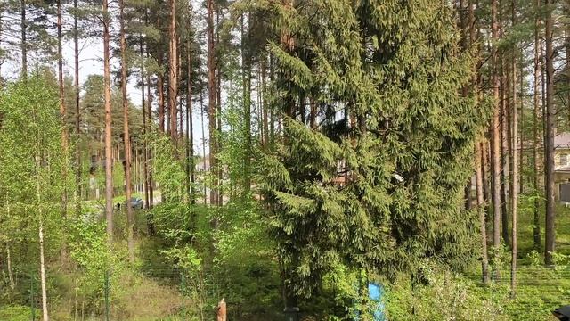 Ленинградская обл.,Всеволожский р-н,д. Энколово,ул. Долгорукова,д. 7
