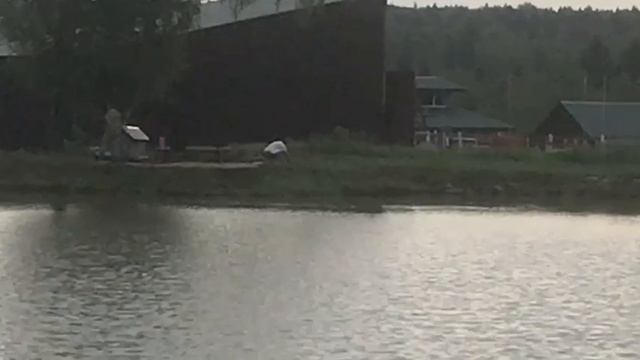 утренние поимки африканского сома